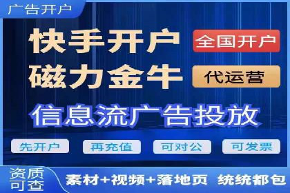 SEM代理案例：揭秘成功背后的秘密